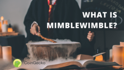 What Is Mimblewimble? How Is It Different From Other Blockchain Protocols?
