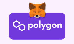 How To Add Polygon Network To MetaMask