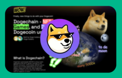 What Is Dogechain? How Does It Work? A Detailed Guide