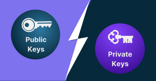 What are Public and Private Keys?