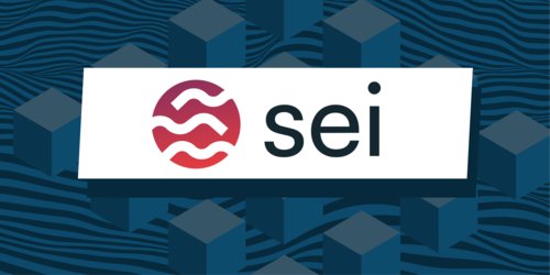 An Ultimate Guide to Sei Network