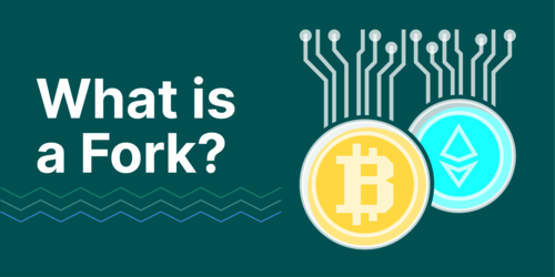 what is crypto coin fork