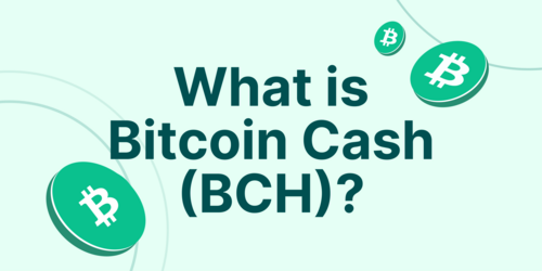What Is Bitcoin Cash and How It Rose by Over 100%
