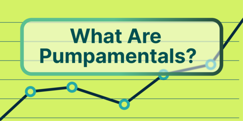 What Are Crypto Pumpamentals?