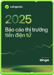 2025 - 2025 Q1 Crypto Industry Report Tiếng việt