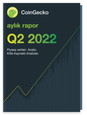 2022 - Q2 2022 Reports Türkçe