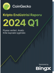 2024 - 2024 Q1 Crypto Industry Report Türkçe