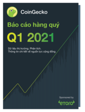 2021 - Q1 2021 Reports Tiếng việt