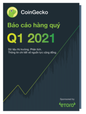 2021 - Q1 2021 Reports Tiếng việt